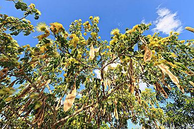 画面大幅强化《如龙维新 极》将于2023年2月发售